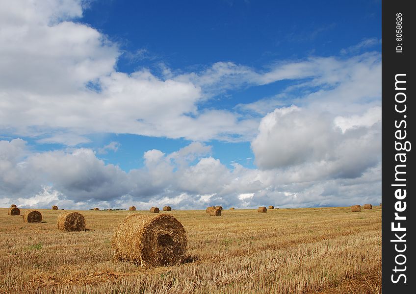 Agricultural landscape of strow bales in a field. Agricultural landscape of strow bales in a field