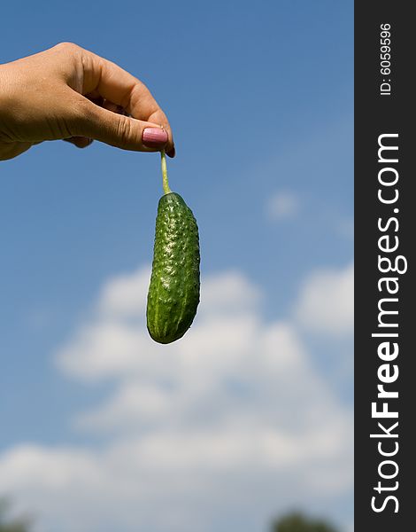 Big green cucumber somewhere in the sky. Big green cucumber somewhere in the sky