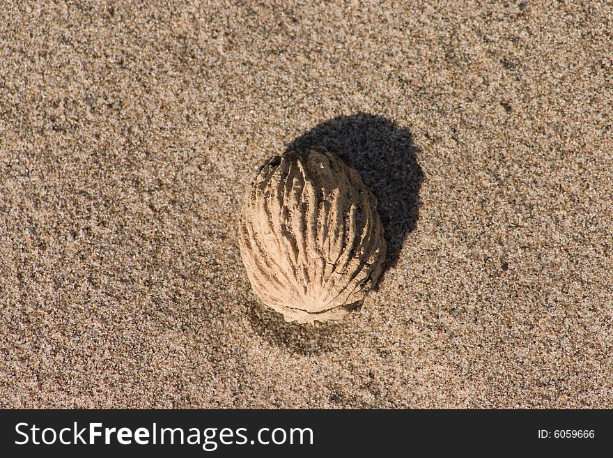 Summer Sand At Beach