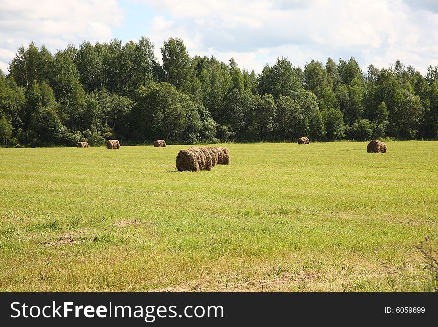 The rural landscape, swaths in the field.  Russia