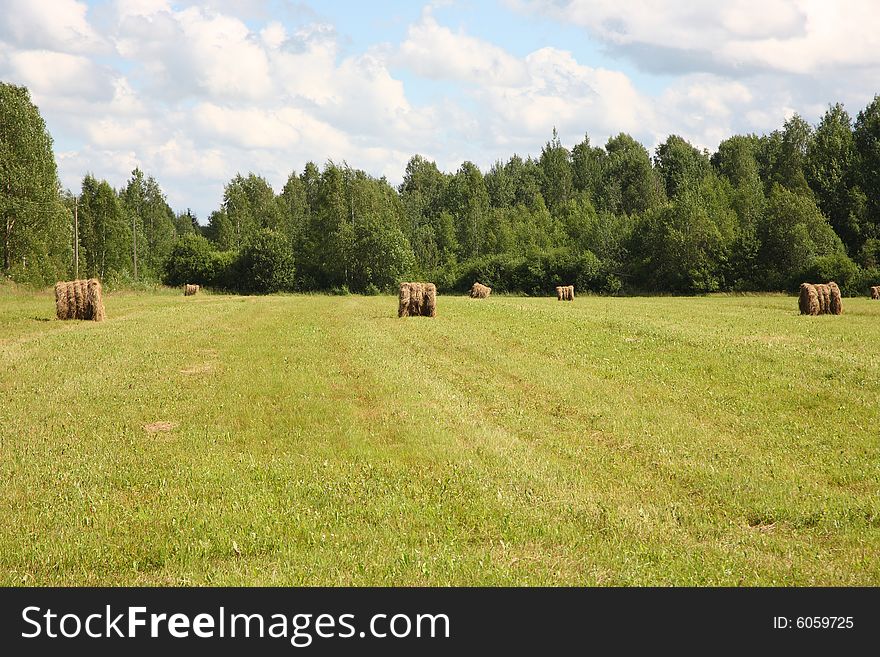 The rural landscape, swaths in the field.  Russia