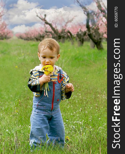 Baby Boy With Dandelions