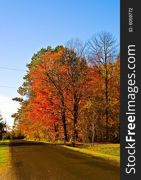 Beautiful cloudless fall day with vibrant colors. Beautiful cloudless fall day with vibrant colors