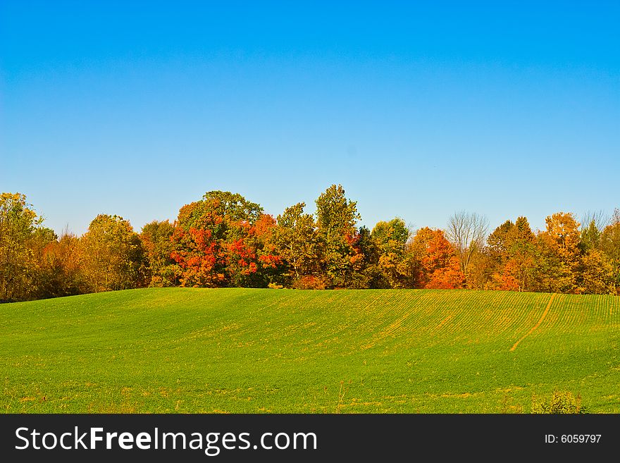 Beautiful cloudless fall day with vibrant colors. Beautiful cloudless fall day with vibrant colors
