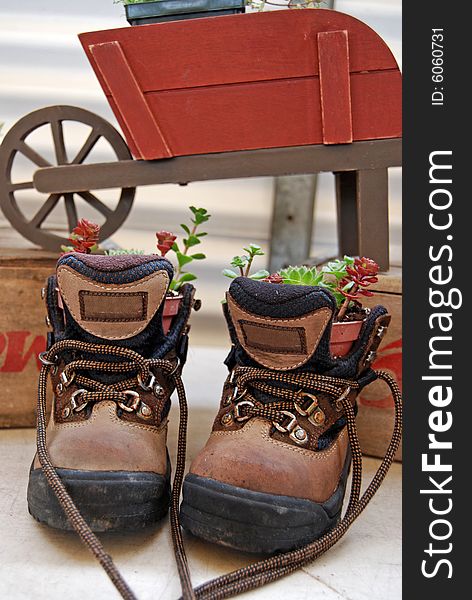 Pair of work boots used as a planter. Pair of work boots used as a planter.