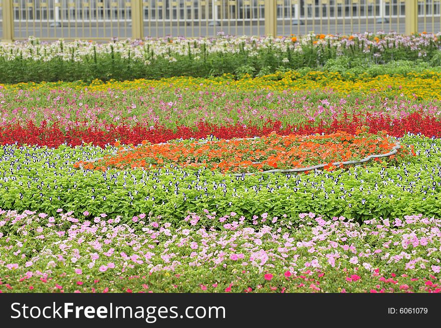 Gardening in beijing city, flower land
