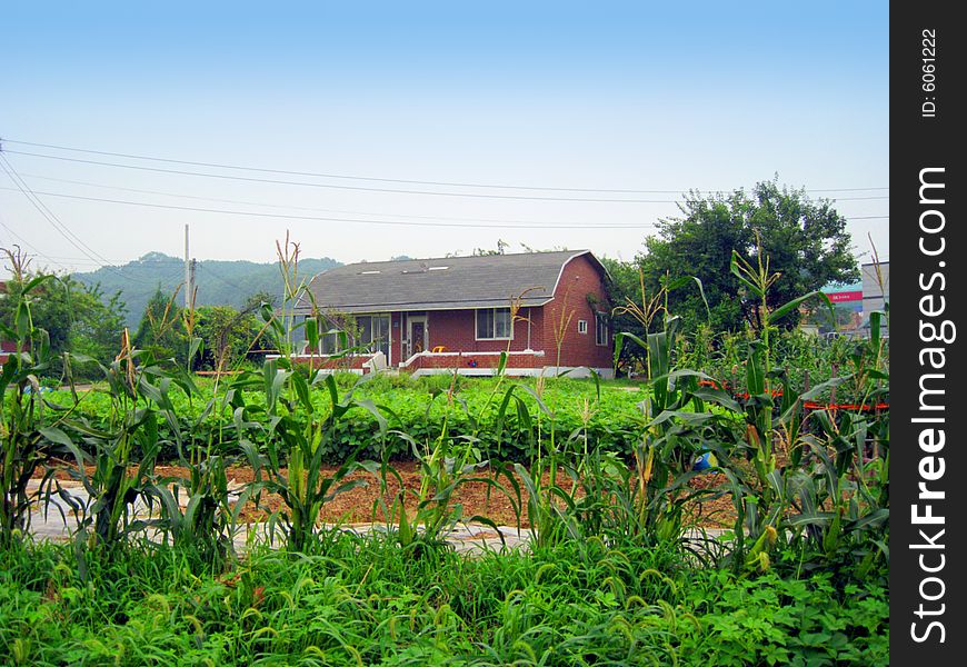 A korean house in a farm