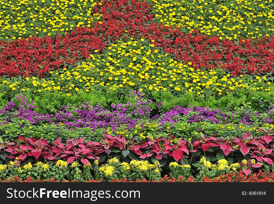 Gardening in beijing city, flower land