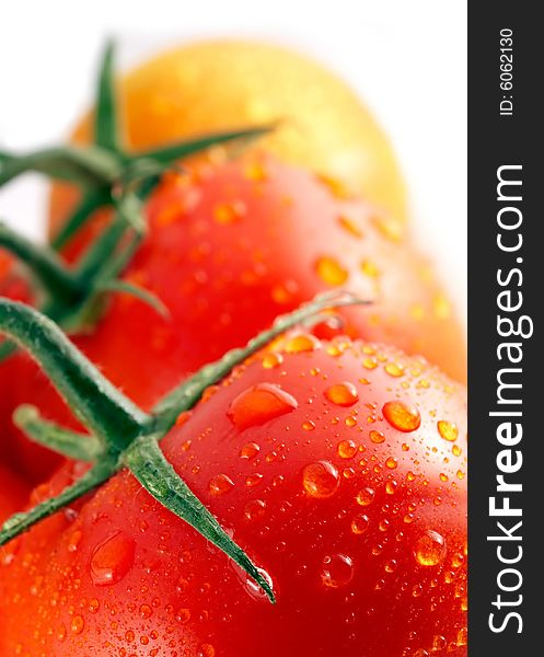 Red tomatoes on white background