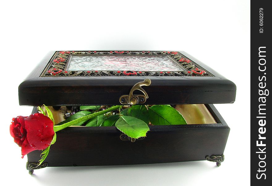 Red rose in the box for valentina day