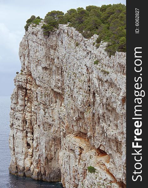 A pine tree at the cliffs of Dugi Otok (Long island) in Croatia