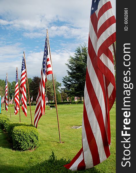 Grassy field with five American flags on it. Vertically framed photo. Grassy field with five American flags on it. Vertically framed photo.