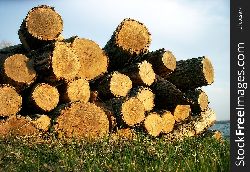 Pile of logs set on the grass outside. Horizontally framed photo. Pile of logs set on the grass outside. Horizontally framed photo.