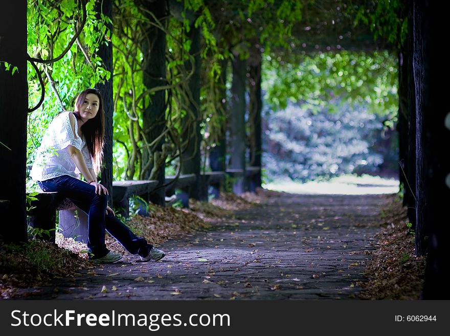 The Leisure Time In Forest