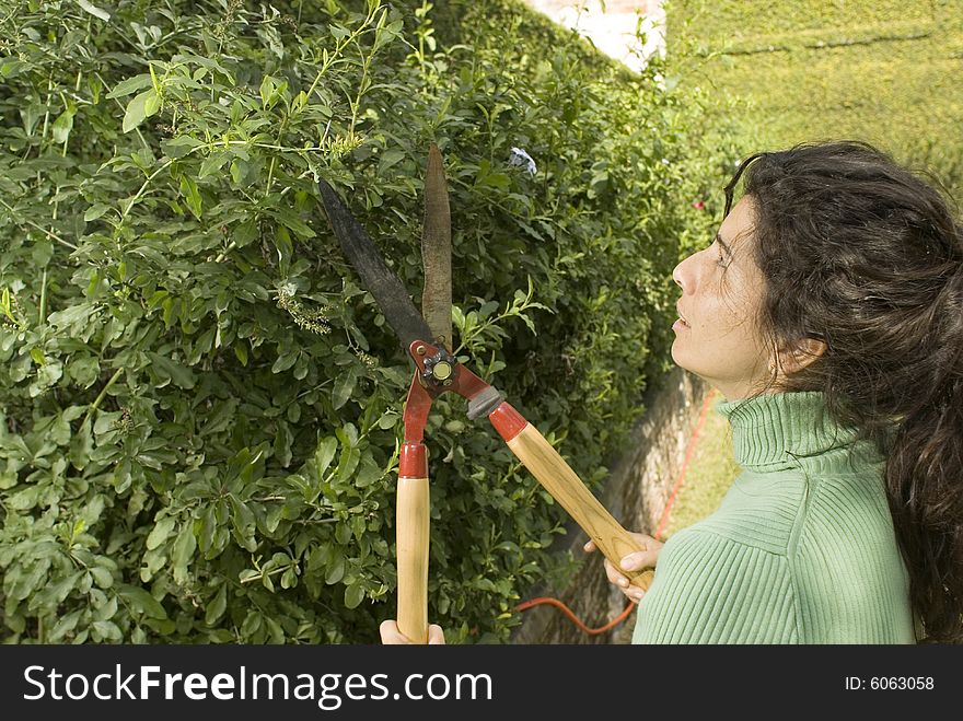 Woman stands with trimmers. She is trimming shrubbery. Horizontally framed photo. Woman stands with trimmers. She is trimming shrubbery. Horizontally framed photo.