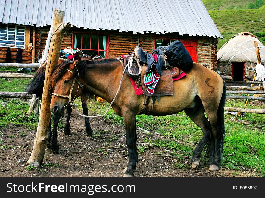 The  horse in the rest Inn