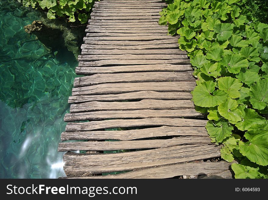 Plants, Water And Wooden Bridge