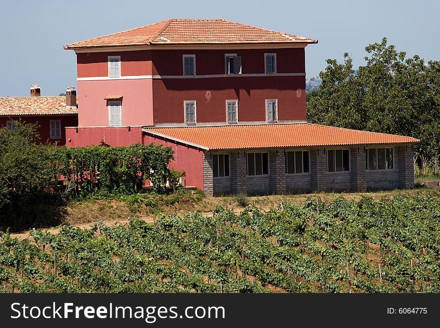 A view of the typical italian mason surrounded by vineyard. A view of the typical italian mason surrounded by vineyard