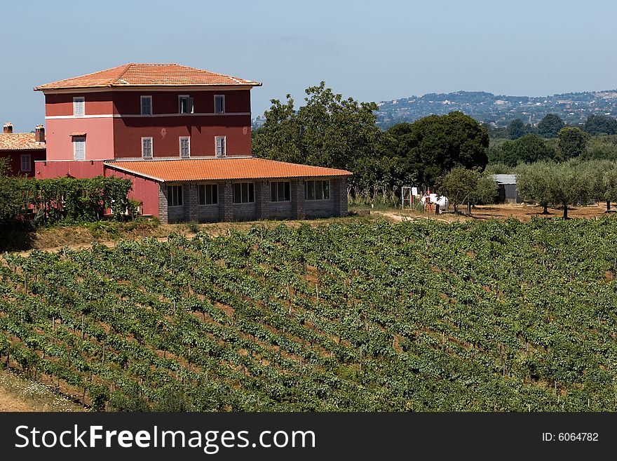 A view of the typical italian mason surrounded by vineyard. A view of the typical italian mason surrounded by vineyard