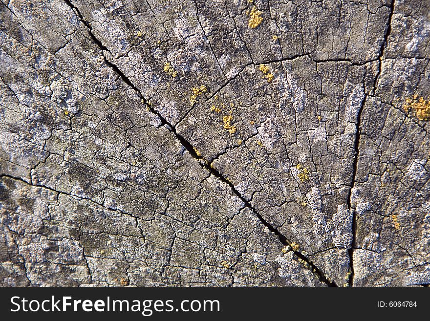 Old grungy wooden background with cracks. Old grungy wooden background with cracks