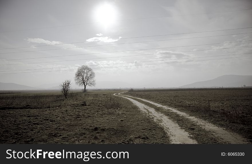 Landscape, two trees in mountain background