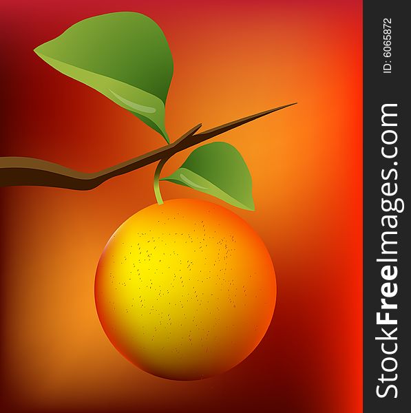 Art illustration for orange, mix with background. Art illustration for orange, mix with background