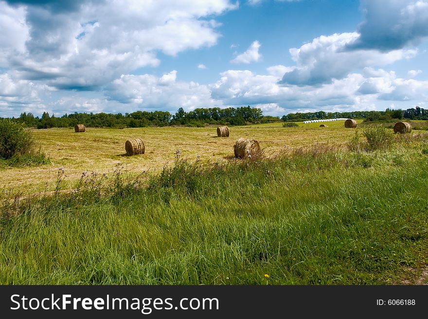 Hay bales on a  field with blue sky and white clouds. Hay bales on a  field with blue sky and white clouds