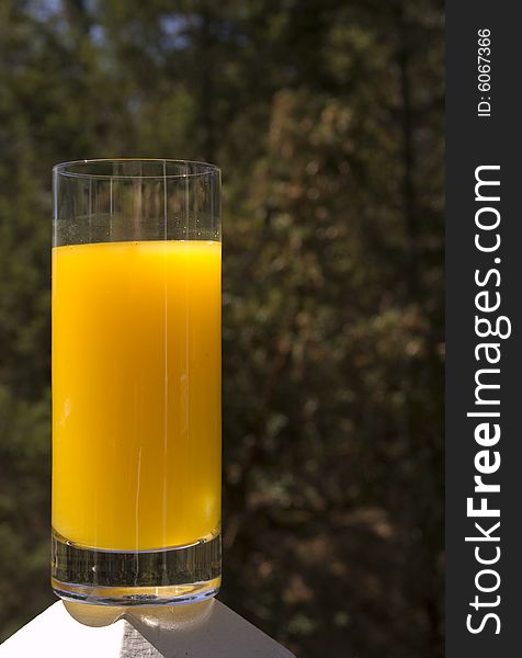 Fresh Squeezed Orange Juice