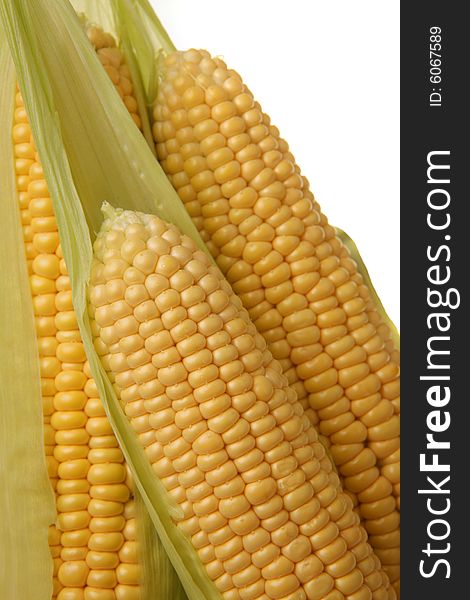 Ears of sweet corn