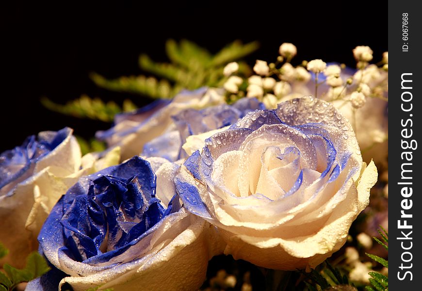 A beautiful bouquet of blue roses