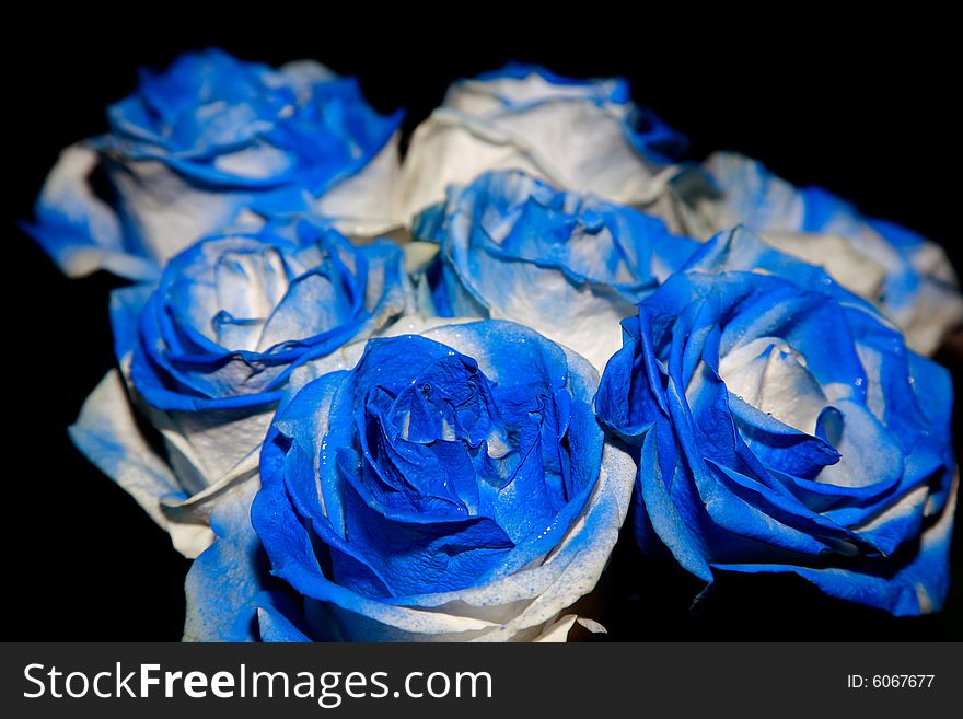 A beautiful bouquet of blue roses