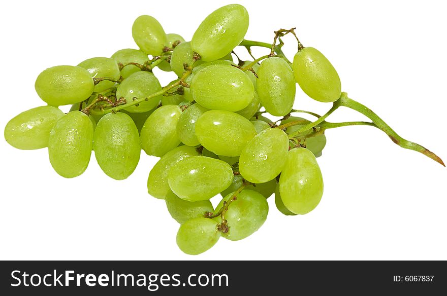 A branch of green grapes