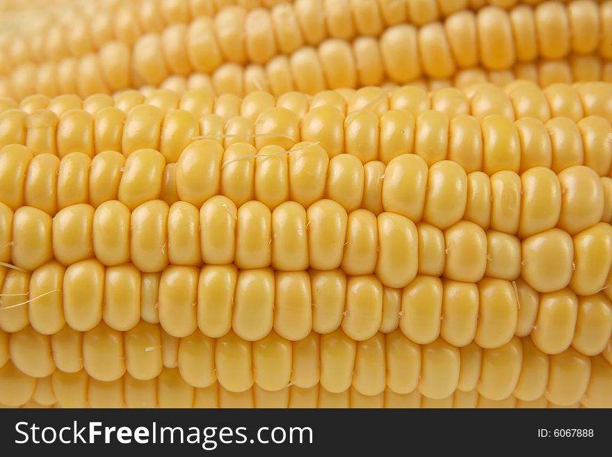 Close up on fresh corn on the cob with additional ear of corn in the background. Close up on fresh corn on the cob with additional ear of corn in the background