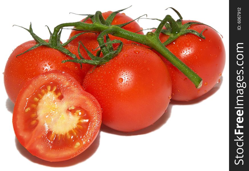 A branch of fresh red tomatoes with drops. A branch of fresh red tomatoes with drops