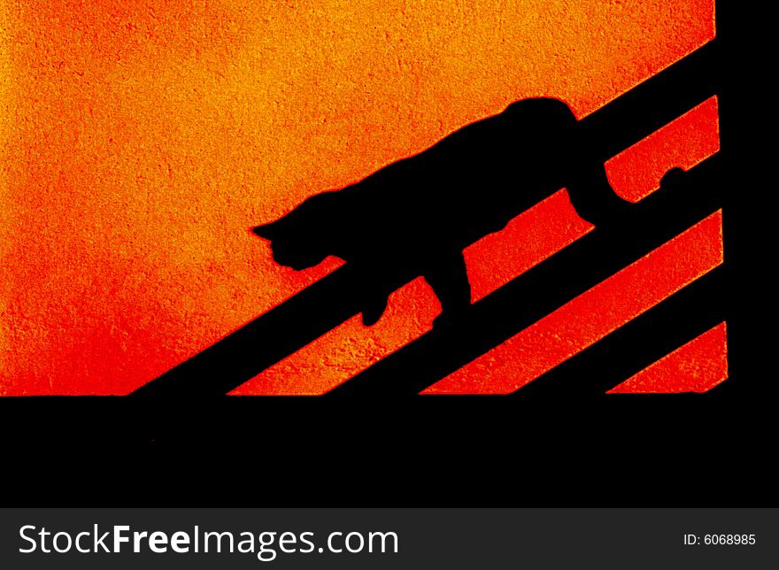 Silhouette of a cat walking on a fence, over a sunset-like background. Silhouette of a cat walking on a fence, over a sunset-like background