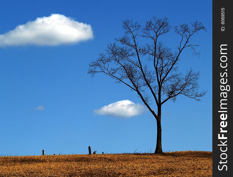 Grave stones from the 1800's on a rural hill under a tree with a bright blue sky and clouds in the background. Grave stones from the 1800's on a rural hill under a tree with a bright blue sky and clouds in the background