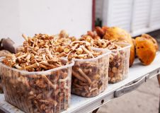 Fresh Mushrooms On A Counter Royalty Free Stock Photos Fresh Mushrooms On A Counter Royalty Free Stock Photos