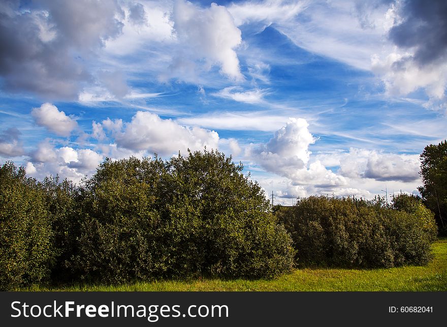 Cloud landscape with green trees and grass on sunny autumn day