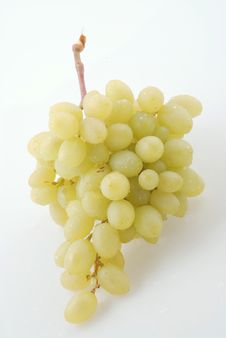 Grape Stock Photos Grape Stock Photos
