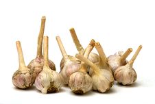 Garlic Royalty Free Stock Photo Garlic Royalty Free Stock Photo