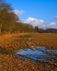 Autumn Royalty Free Stock Images Autumn Royalty Free Stock Images