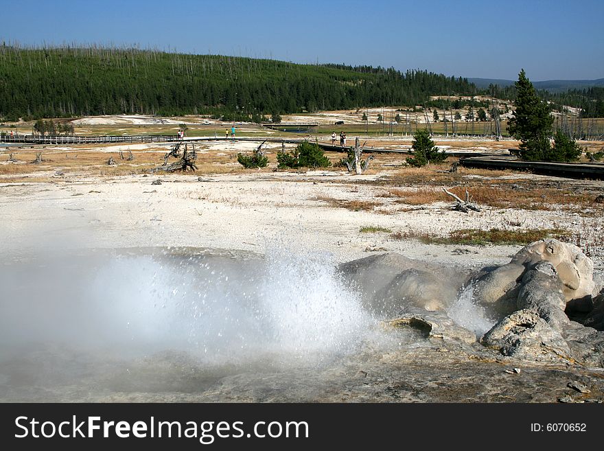 The geysers in Yellowstone National Park