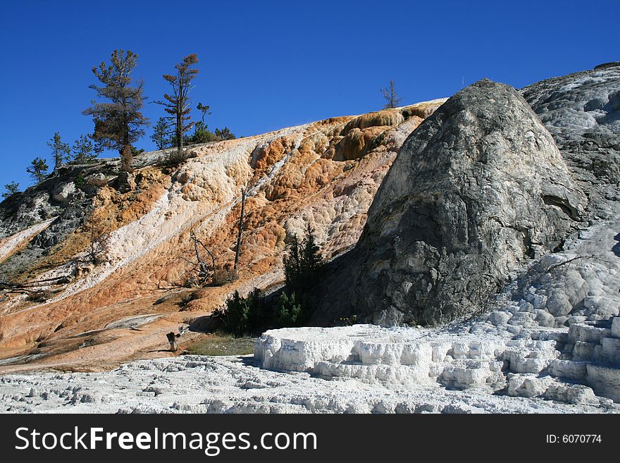 Mammoths' Springs in Yellowstone National Park
