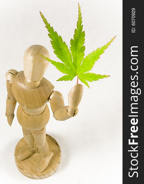 A wooden man holds a maple leaf up. A wooden man holds a maple leaf up