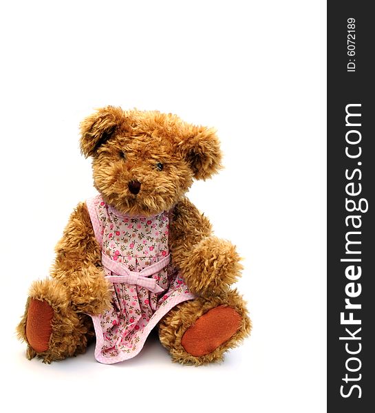 A cute teddy bear wearing a dress