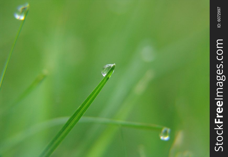 Close up of water droplet on blade of grass. Close up of water droplet on blade of grass