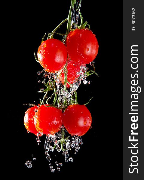 Flow of pourng water on tomato bunch isolated #2. Flow of pourng water on tomato bunch isolated #2