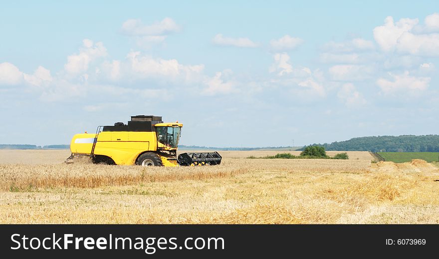 The beginning of harvesting on a wheaten field