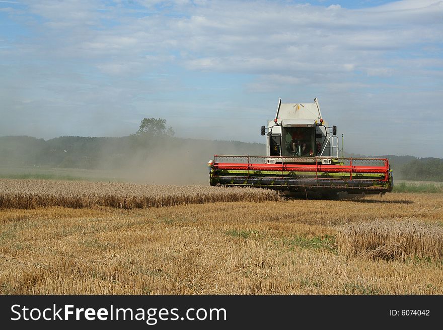 Harvester on a wheat field