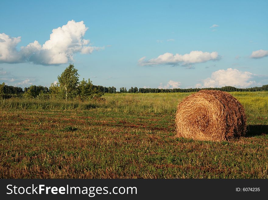 Rural landscape with a kind on the oblique field